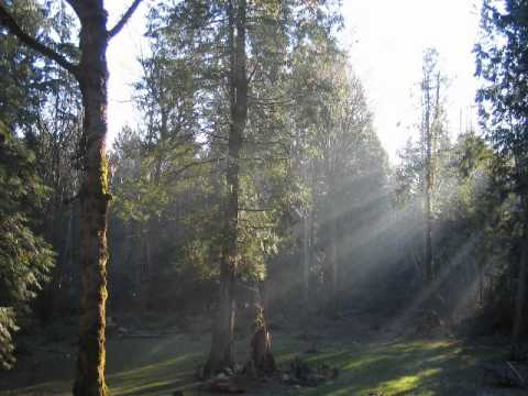 Mornin' Ride by Lee Greenwood