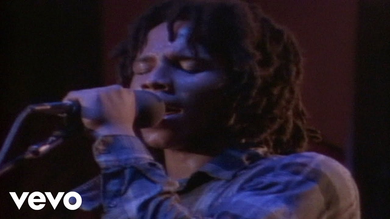 Tumblin' Down by Ziggy Marley and the Melody Makers