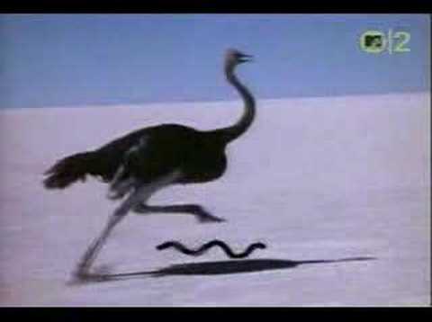 It's My Life by Talk Talk