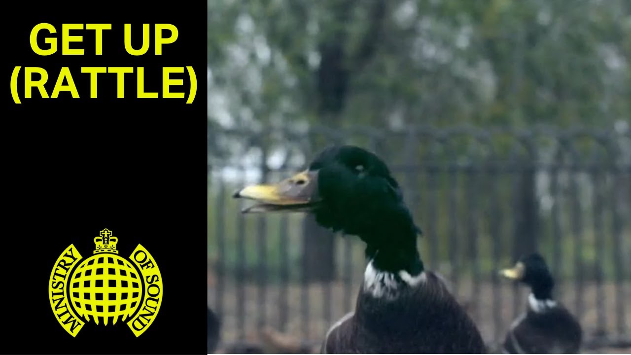 Get Up (Rattle) by Bingo Players featuring Far East Movement