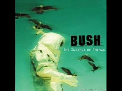 The Chemicals Between Us by Bush