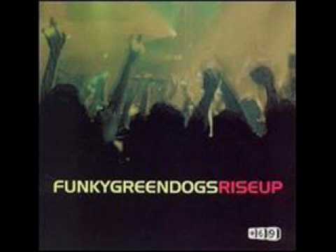 Rise Up by Funky Green Dogs