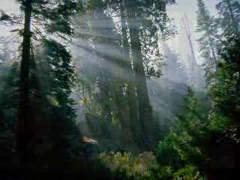 Bright Eyes by Art Garfunkel