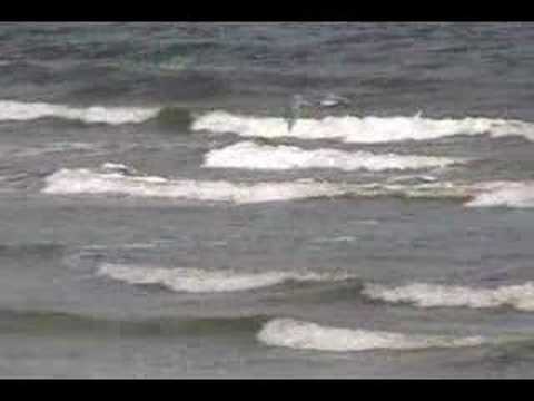 Don't Cry for Me Argentina by Julie Covington