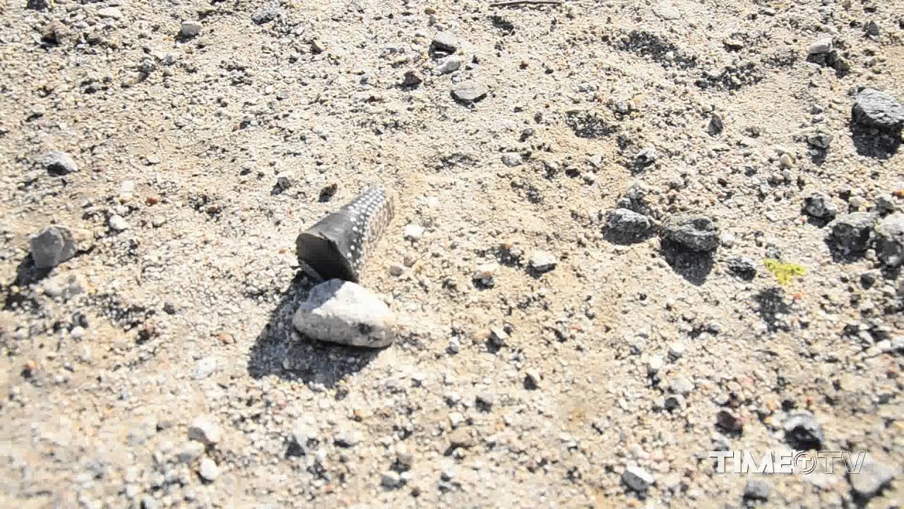 I'm Still Hot by Luciana