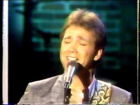 Some Fools Never Learn by Steve Wariner