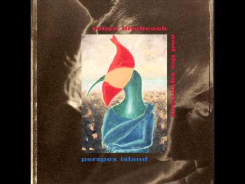 So You Think You're in Love by Robyn Hitchcock and the Egyptians