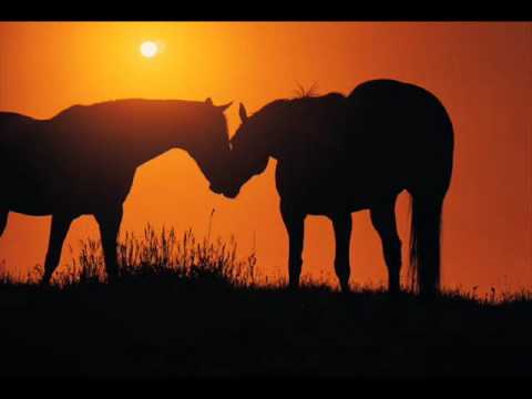 You Still Move Me by Dan Seals