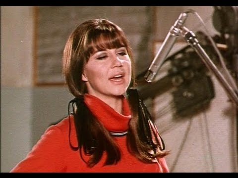 I'll Never Find Another You by The Seekers