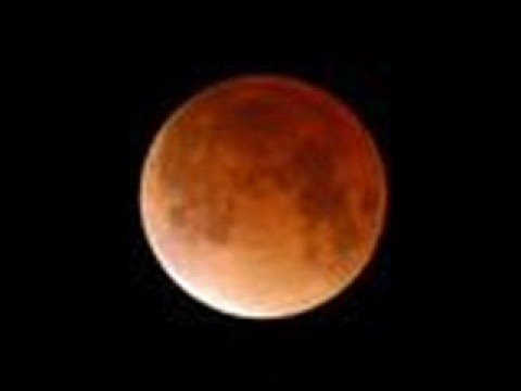 Wonderland by Night by Bert Kaempfert