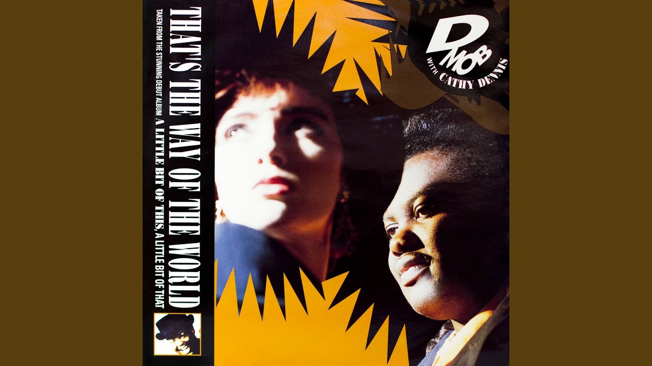 That's the Way of the World by D-Mob with Cathy Dennis