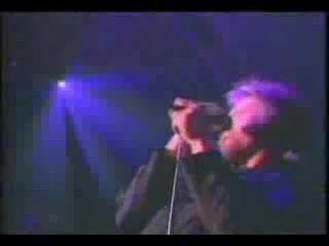 Shakedown by Bob Seger