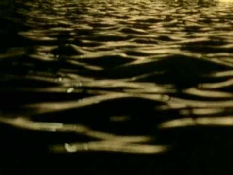 The Other Side of Summer by Elvis Costello