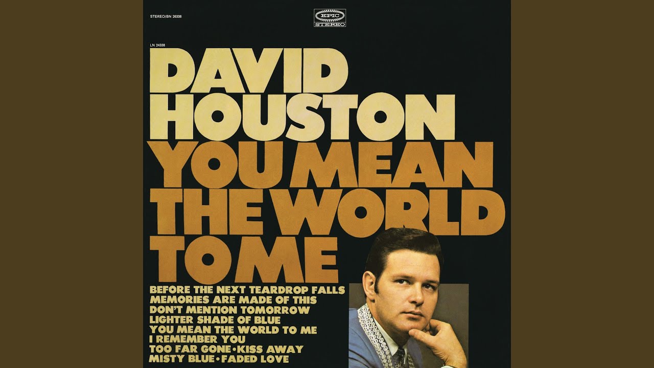 You Mean the World to Me by David Houston